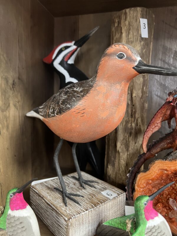 Handcrafted Decoy Red Knot Feeding 8" High