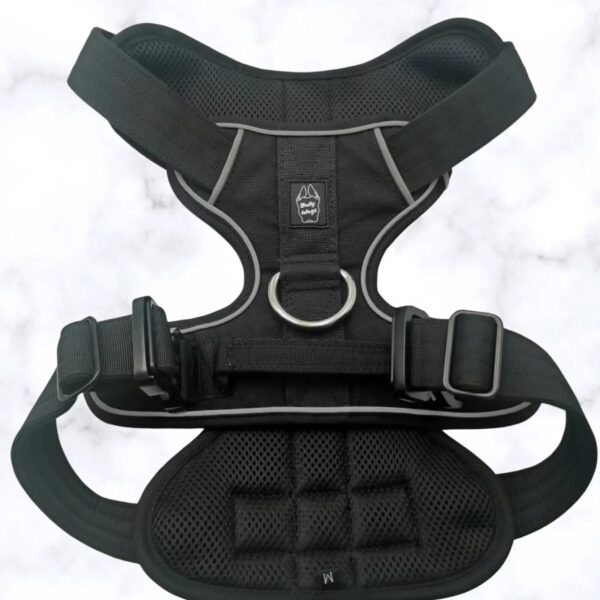 Heavy-Duty Everyday Harness - Black Medium - Special Order