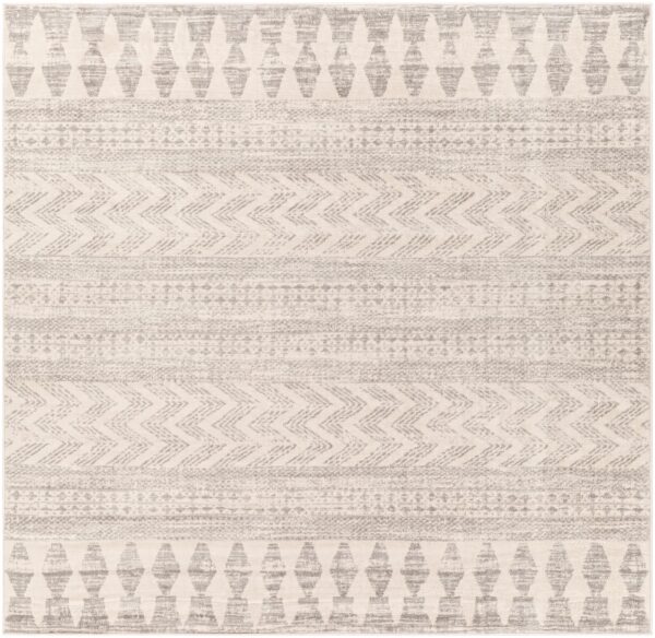 Surya Rom2329 Ivory Gray Area Rug 2'x3'