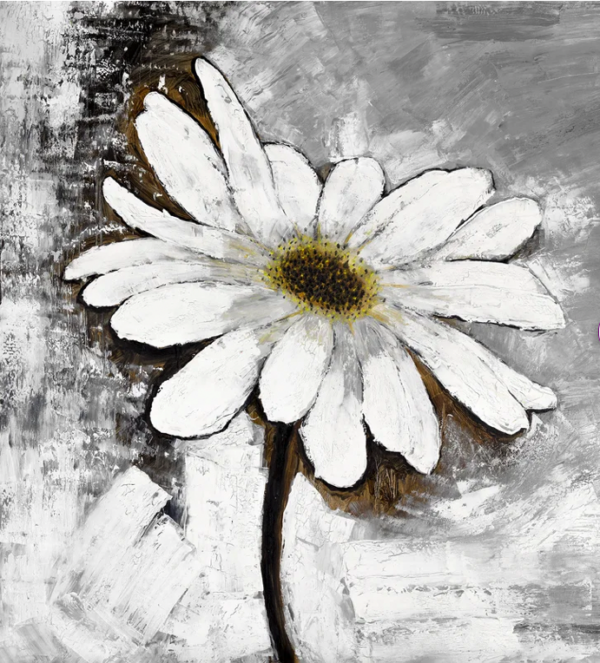 Daisy Flower - Wrapped Canvas Print 24"x 24"x1.5"