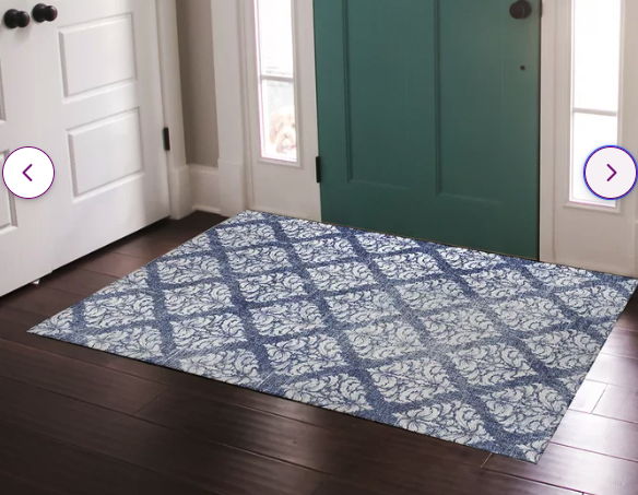 Bejou Indoor Floor Mat By Terri Ellis 2'x3'