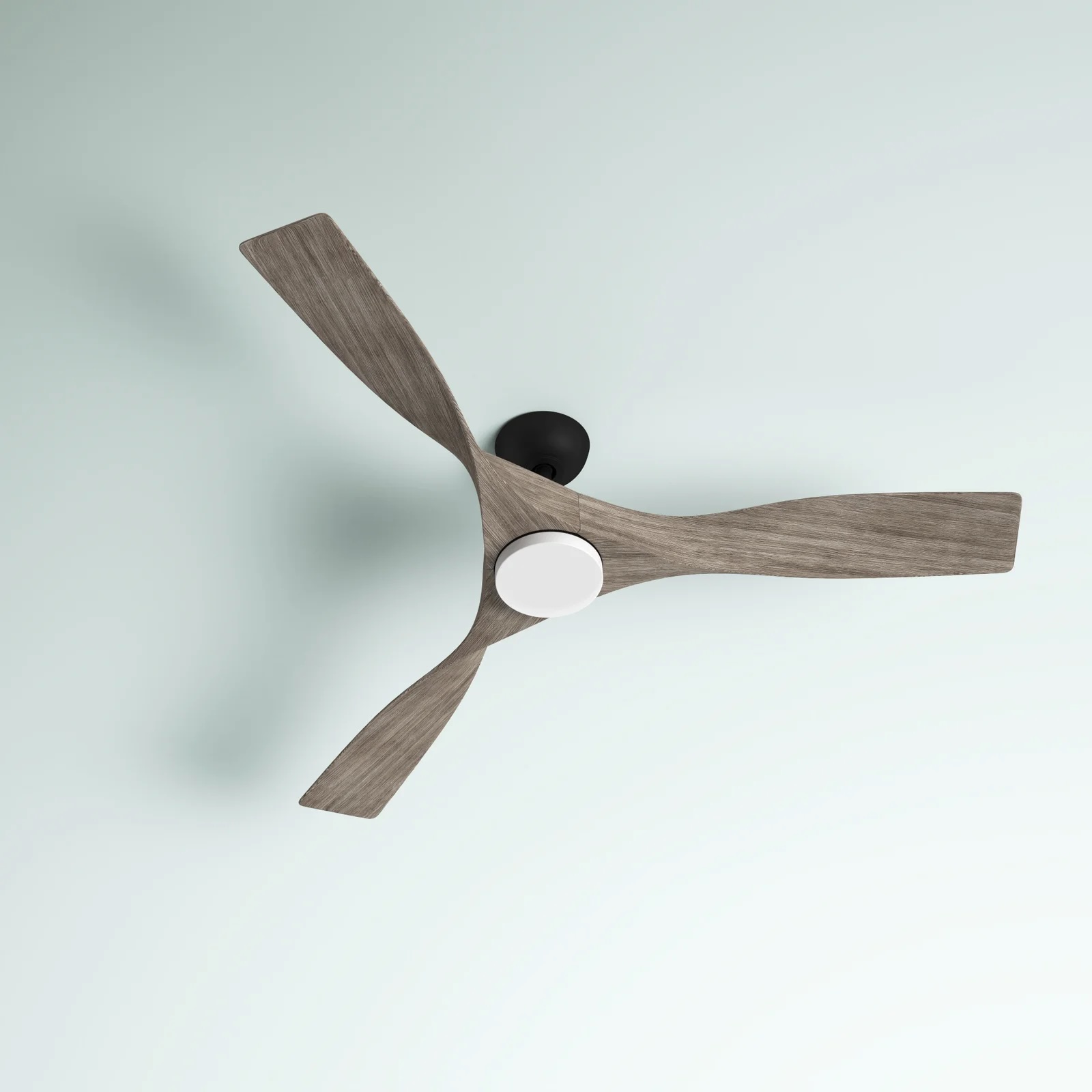 Ferland 60'' Ceiling Fan with LED Lights