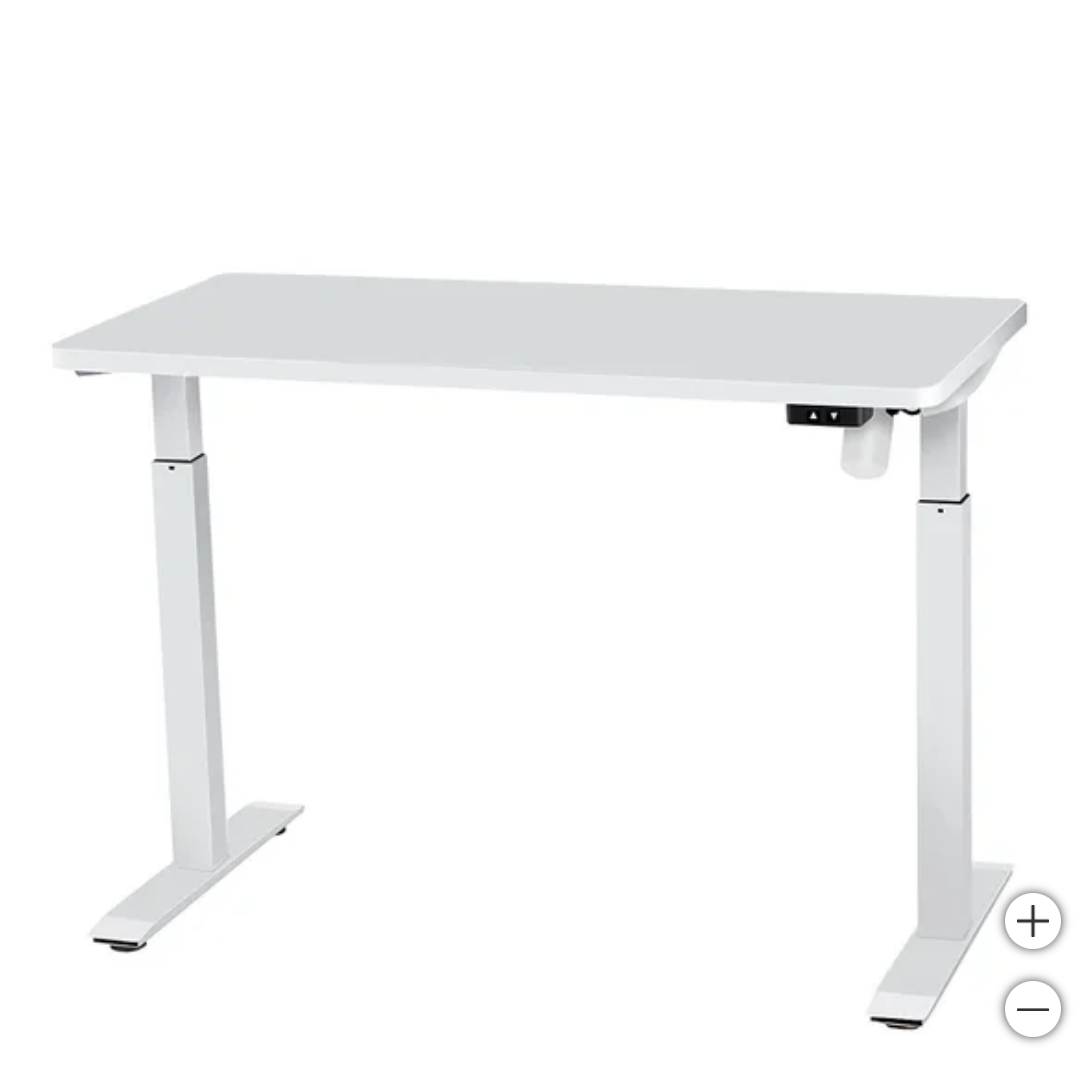 Single Motor 24"x48" White Desk