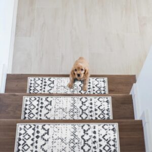 Rugs - Stair Treads