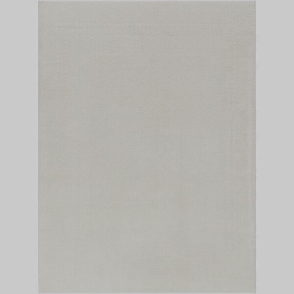 Calvo Ivory/Off-White Area Rug 7'10'x10' - Image 4
