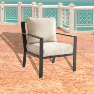 Abordale Powder Coated Steel Outdoor Lounge Chair
