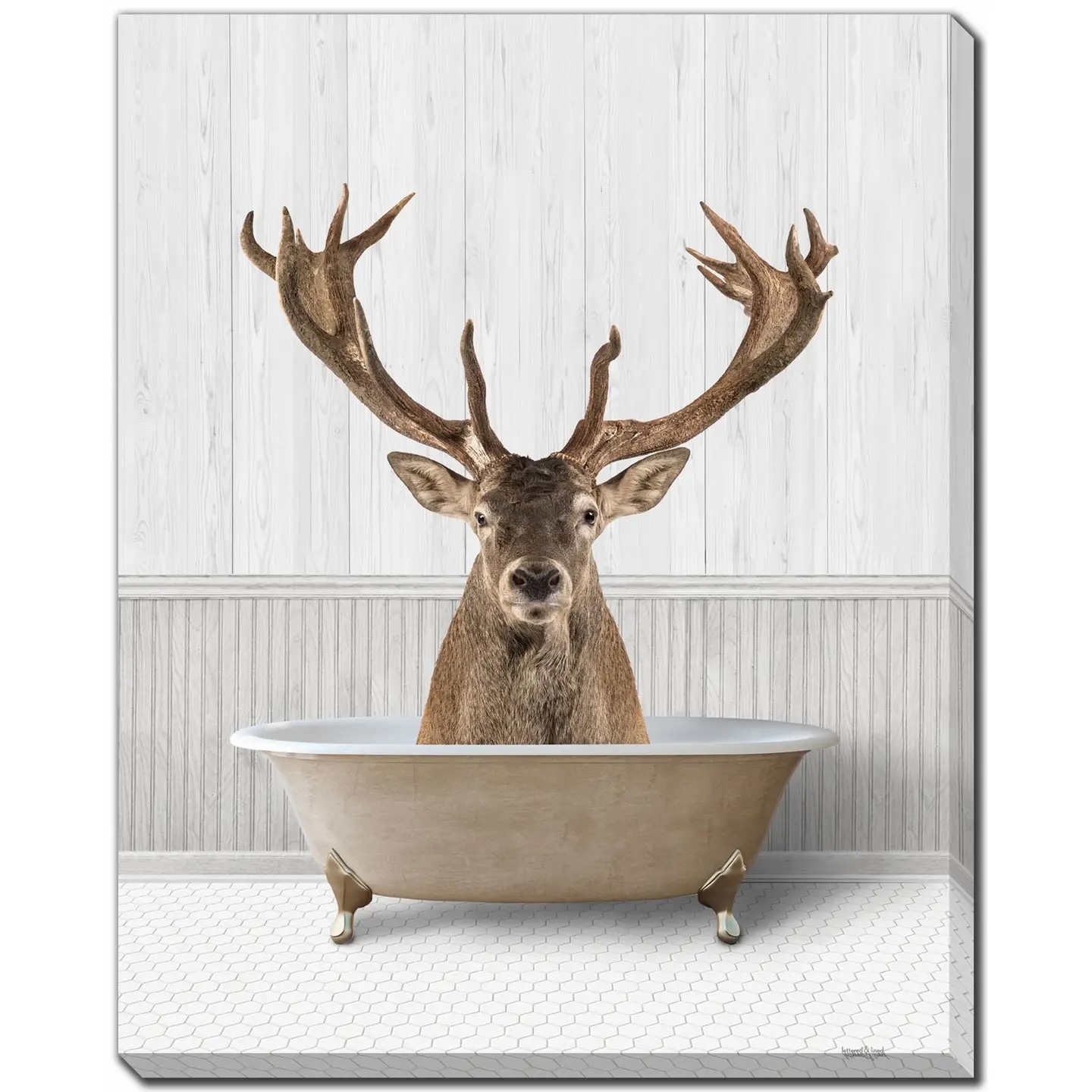Bath Time Deer Canvas Wall Art Canvas 16x20