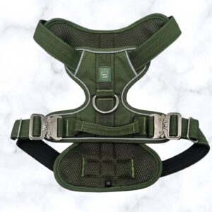 Heavy-Duty Everyday Harness - Cactus Green Large