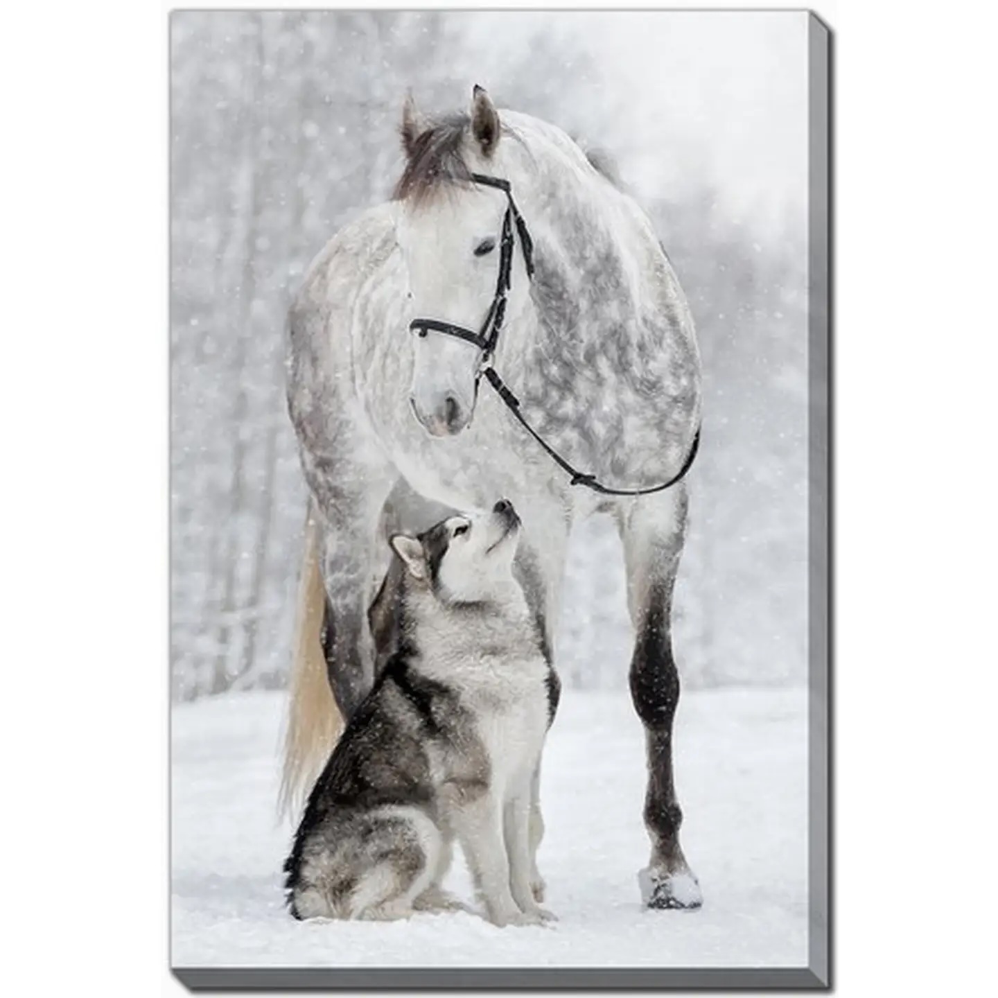 Alaskan Malamute and Orlov Trotter 16x20