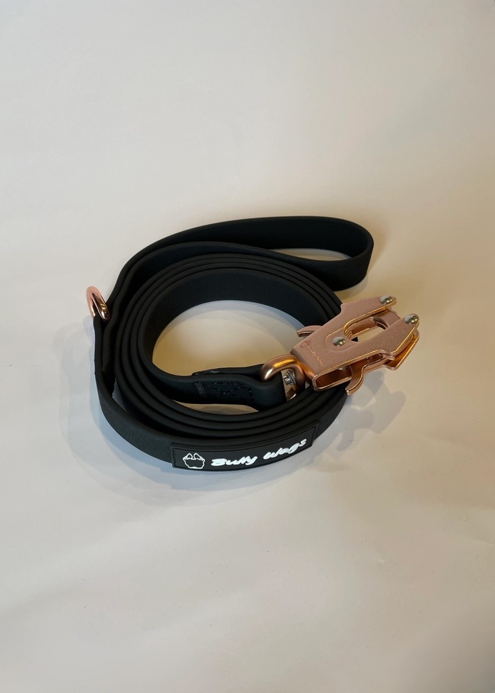 Waterproof Pvc Dog Leash - Rose Gold - 6 FT