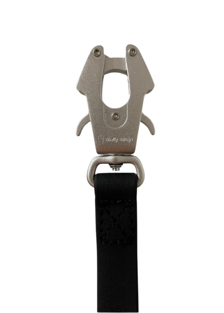 Waterproof Pvc Dog Leash - Silver - 6 FT