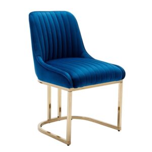 Junias Dining Chair (Set of 2) Blue