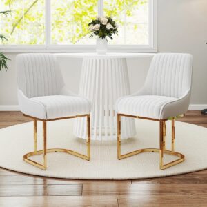 Junias Dining Chair (Set of 2) White