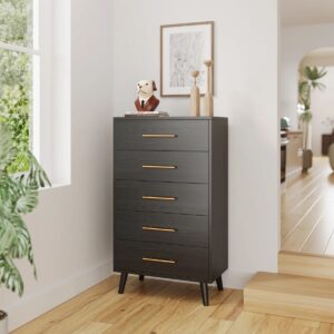 Lambing 28'' W 5 - Drawer Dresser