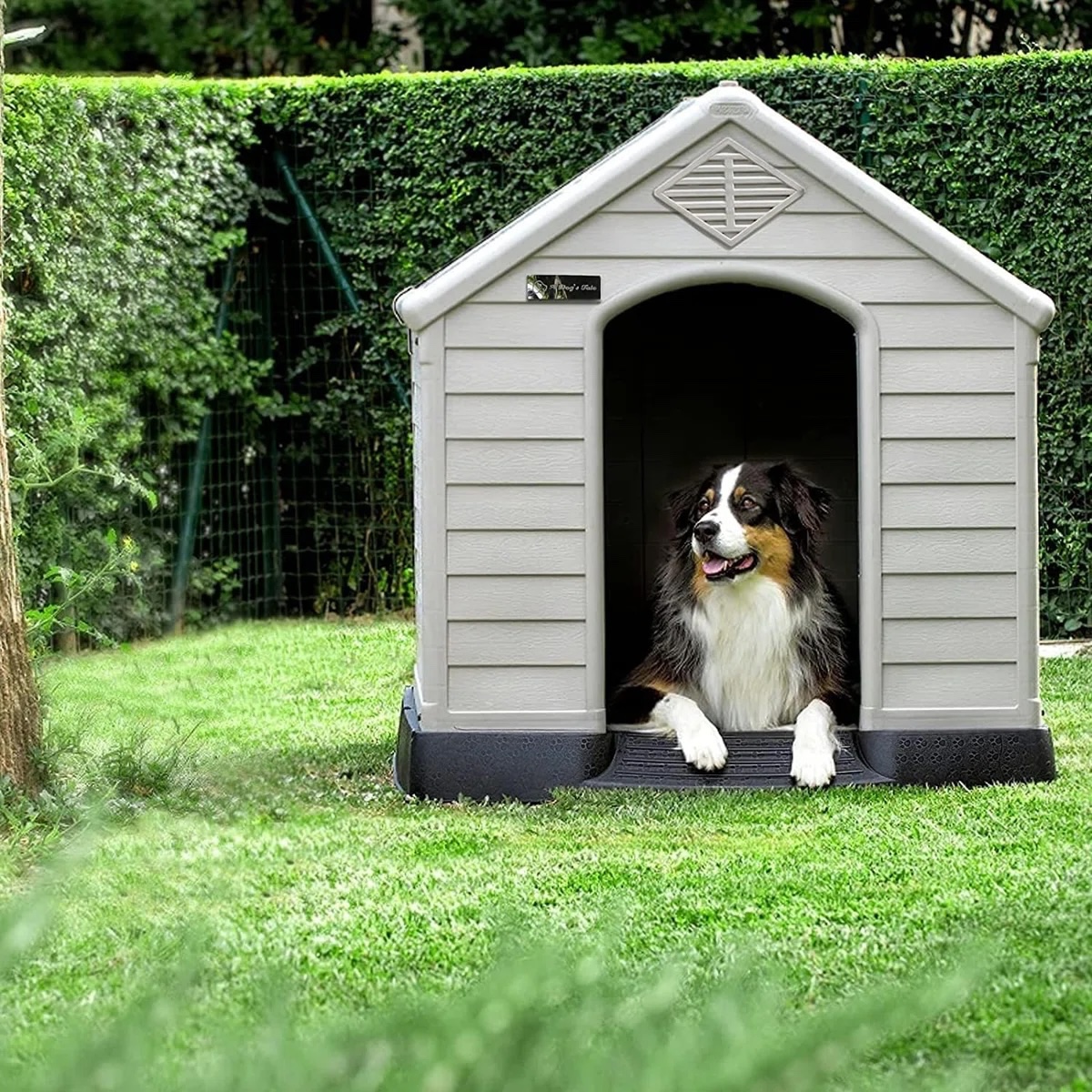 Aunyae Plastic Portable Dog House