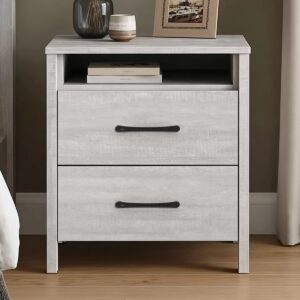 Allysyn 22.7" 2 Drawer Nightstand
