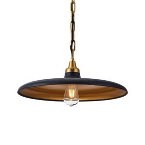 Modern 18 inch 1 Light Pendant with Iron Shade