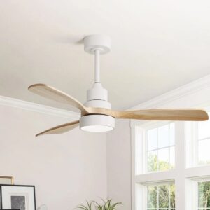 48" Nicola 3 - Blade Modern Ceiling Fan with Remote Control and Light Kit