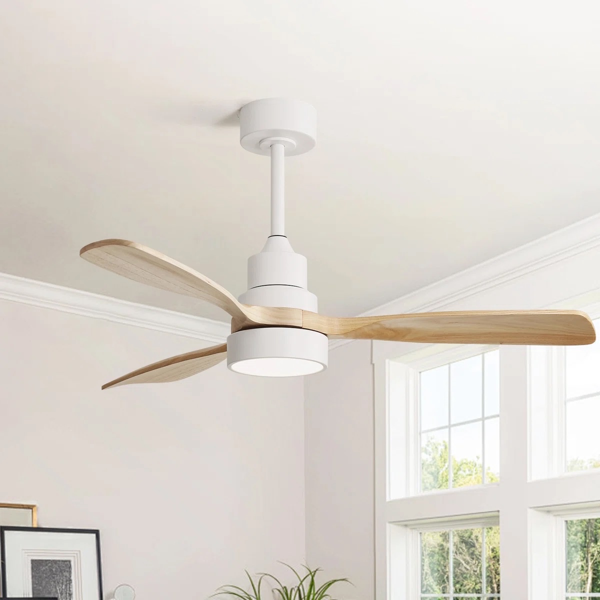 48" Nicola 3 - Blade Modern Ceiling Fan with Remote Control and Light Kit