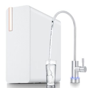 Under-Sink Tankless Reverse Osmosis Water Filter, Reverse Osmosis System, 600 GPD Water Filter