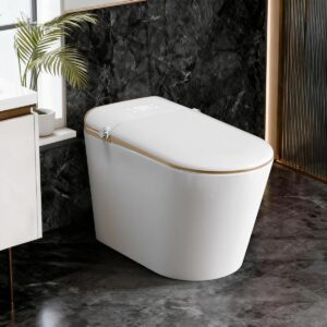 Smart Toilet With Bidet Combo, Automatic Open/close Lid SNU2